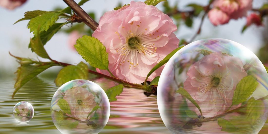 massage quartz rose