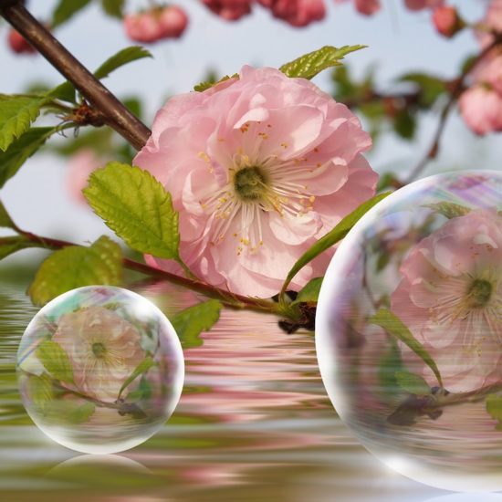 massage quartz rose