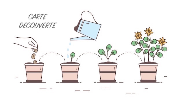 CARTE DECOUVERTE 1 carte découverte
